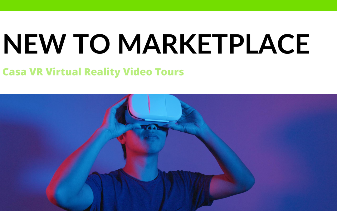 Virtual Reality Video Tours